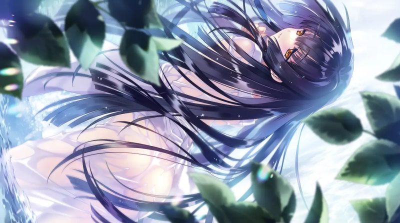 图片[6]-无颜之月 汉化硬盘版+动画 [新作/2.9G]-乐游二次元