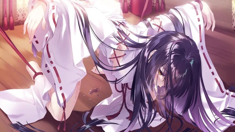 图片[2]-无颜之月 汉化硬盘版+动画 [新作/2.9G]-乐游二次元