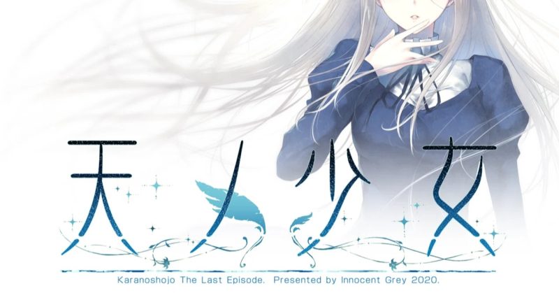 图片[13]-天之少女 官方中文版+全CG存档 [新作/4G]-乐游二次元