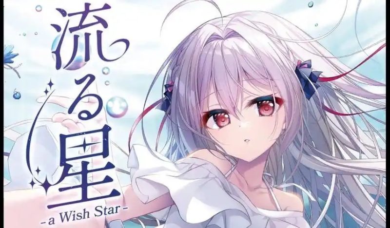 流星 FD 流る星 ふぁんでぃすく AI汉化版 [PC/1.9G/新作]-乐游二次元