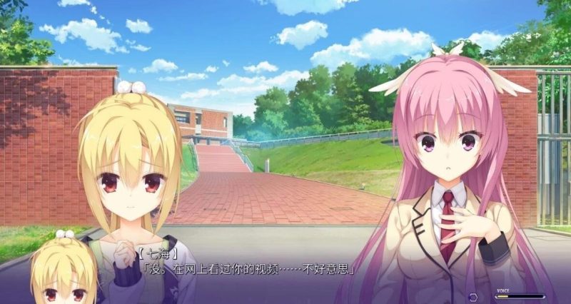 图片[4]-【PC/2D/ADV/汉化】柚子社 谜语小丑 Riddle Joker 精翻汉化硬盘版【8.8G】-乐游二次元