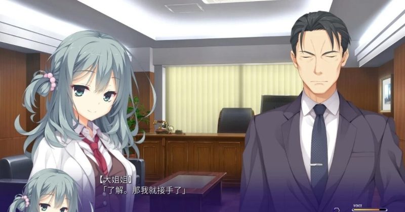 图片[2]-【PC/2D/ADV/汉化】柚子社 谜语小丑 Riddle Joker 精翻汉化硬盘版【8.8G】-乐游二次元