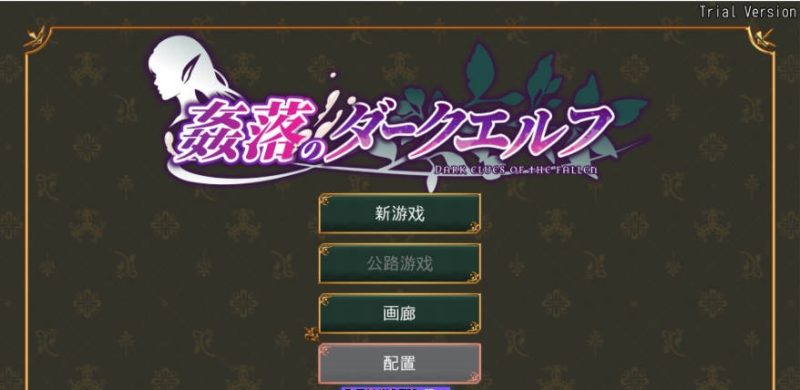 奸落的黑暗精灵 姦落のダークエルフ 官方中文体验版[3.4G]-乐游二次元