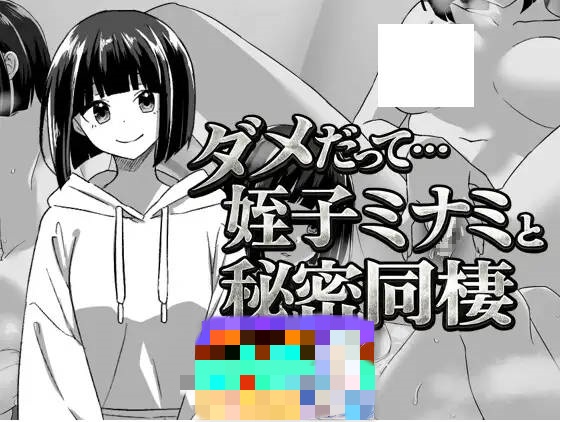 不行啦…和侄女美波的秘密同居 内嵌AI汉化版 [新作] [340M]-乐游二次元