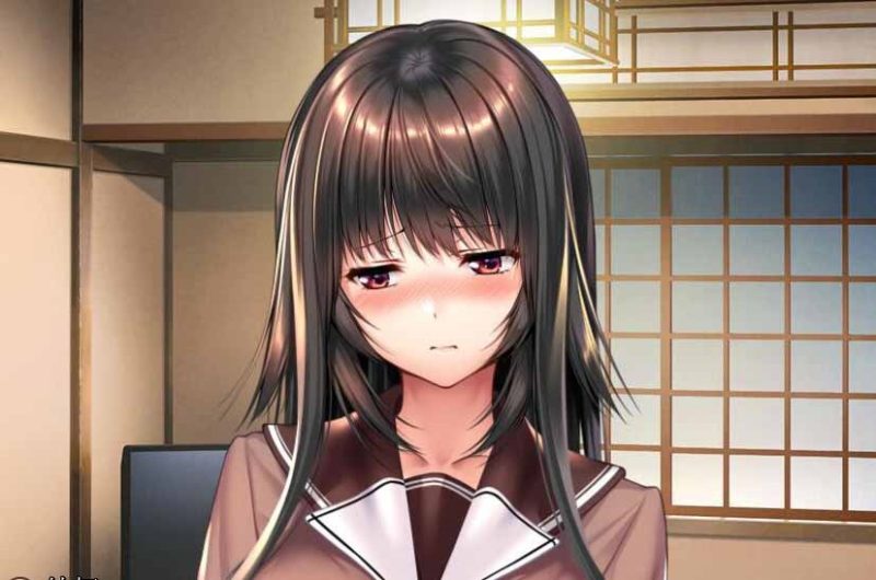 图片[3]-甜蜜女友 アマカノ精翻汉化版【PC＋安卓/5G/更新】-乐游二次元