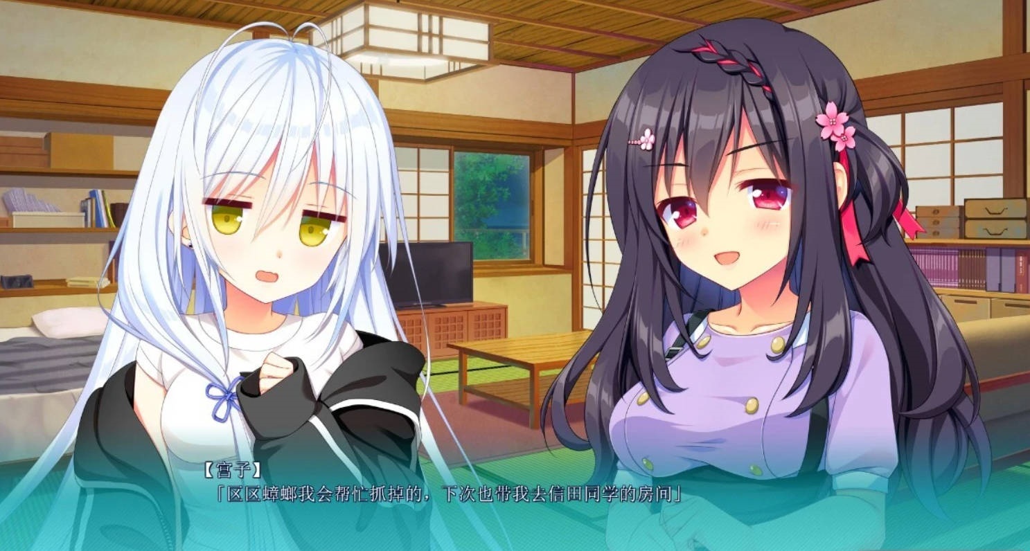 图片[5]-PC/2D/GAL/汉化】恋爱成双FD2 結愛＆煌 精翻汉化版【1.4G】-乐游二次元