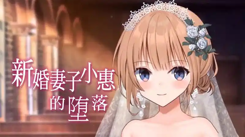 新婚妻子小惠的堕落 完整版 官方中文【PC/2G/新作】-乐游二次元
