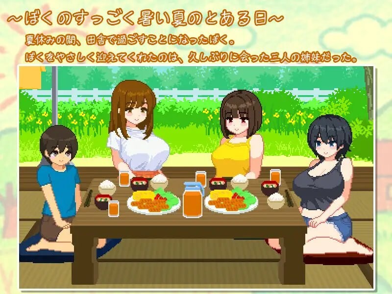 与夏日姐姐们的甜蜜时光 v1.0.2 Steam官中步兵版 【PC/350M/新作】-乐游二次元