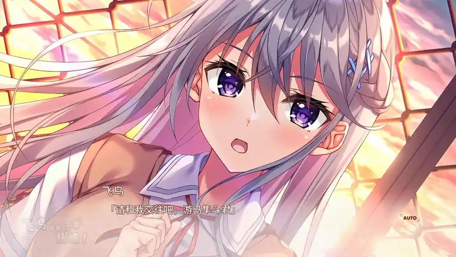 飞鸟会长不肯认输！精翻汉化版【PC/2G/更新】-乐游二次元