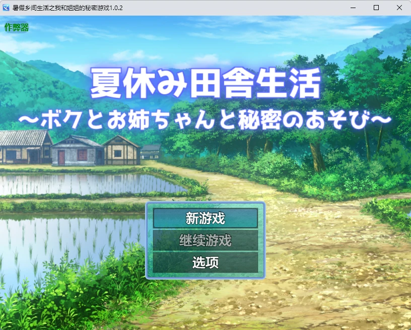 暑假乡间生活之我和姐姐的秘密游戏 v1.0.2 AI汉化版【PC+安卓/1.82G】-乐游二次元