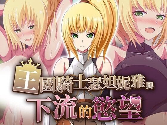 王国骑士瑟妲妮雅与下流的欲望 072官中步兵版【PC/460M/新作】-乐游二次元