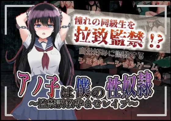 那个女孩是我的性奴隶～监禁调教孕育强奸～ v1.01 AI汉化版[PC+安卓/1.8G/新作]-乐游二次元