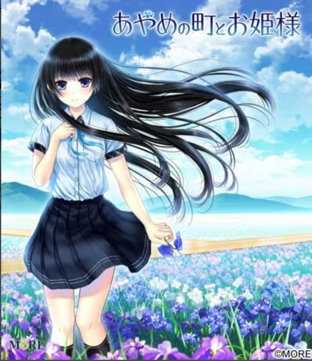 菖蒲的城镇和公主大人 精翻汉化【PC/1.5G/更新】-乐游二次元
