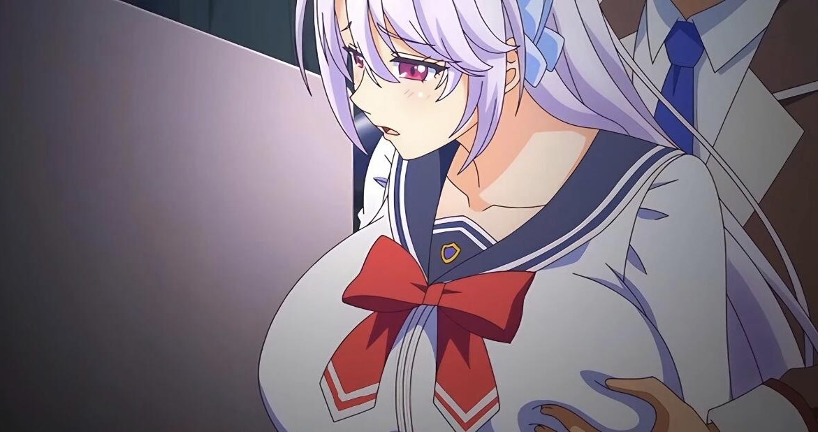 图片[2]-【DH/2D/里番/中文】[月度合集] 2024年07月 中文里番合集【9V/3G】-乐游二次元