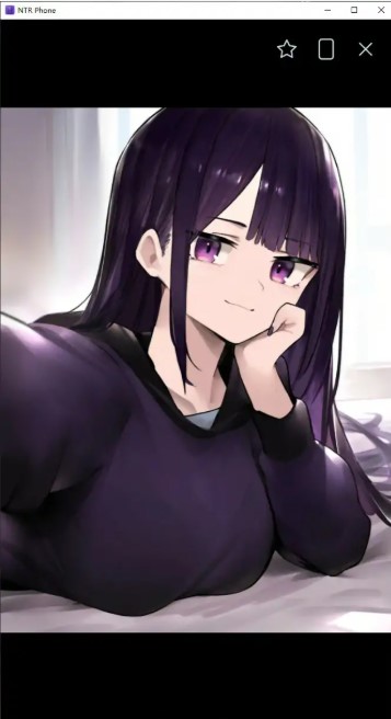 NTR手机 v0.46.0 官方中文版【PC/0.2G】-乐游二次元