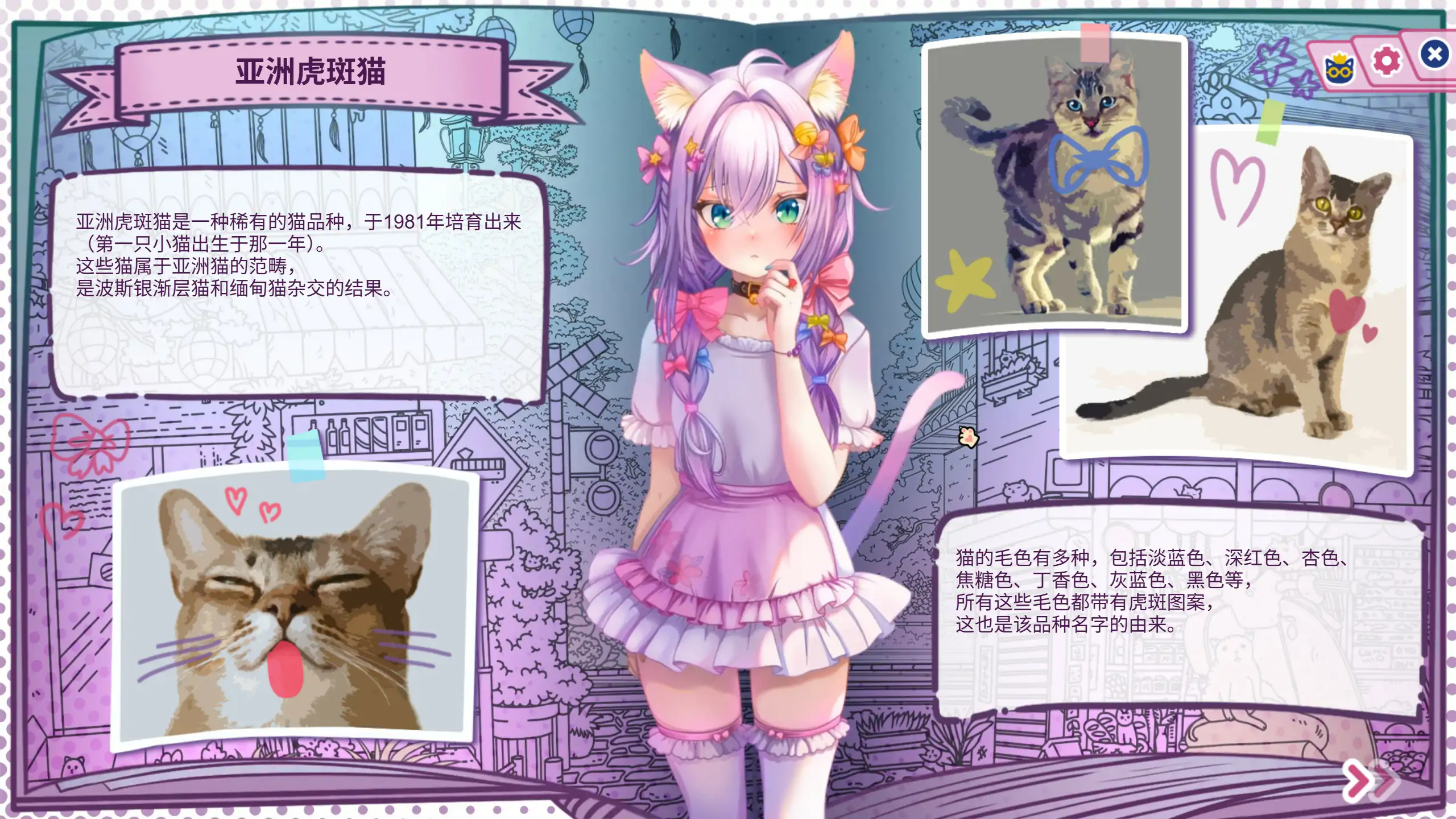 猫娘百科：寻找她的小尾巴 1.0 官方中文步兵版【PC/2.7G】-乐游二次元