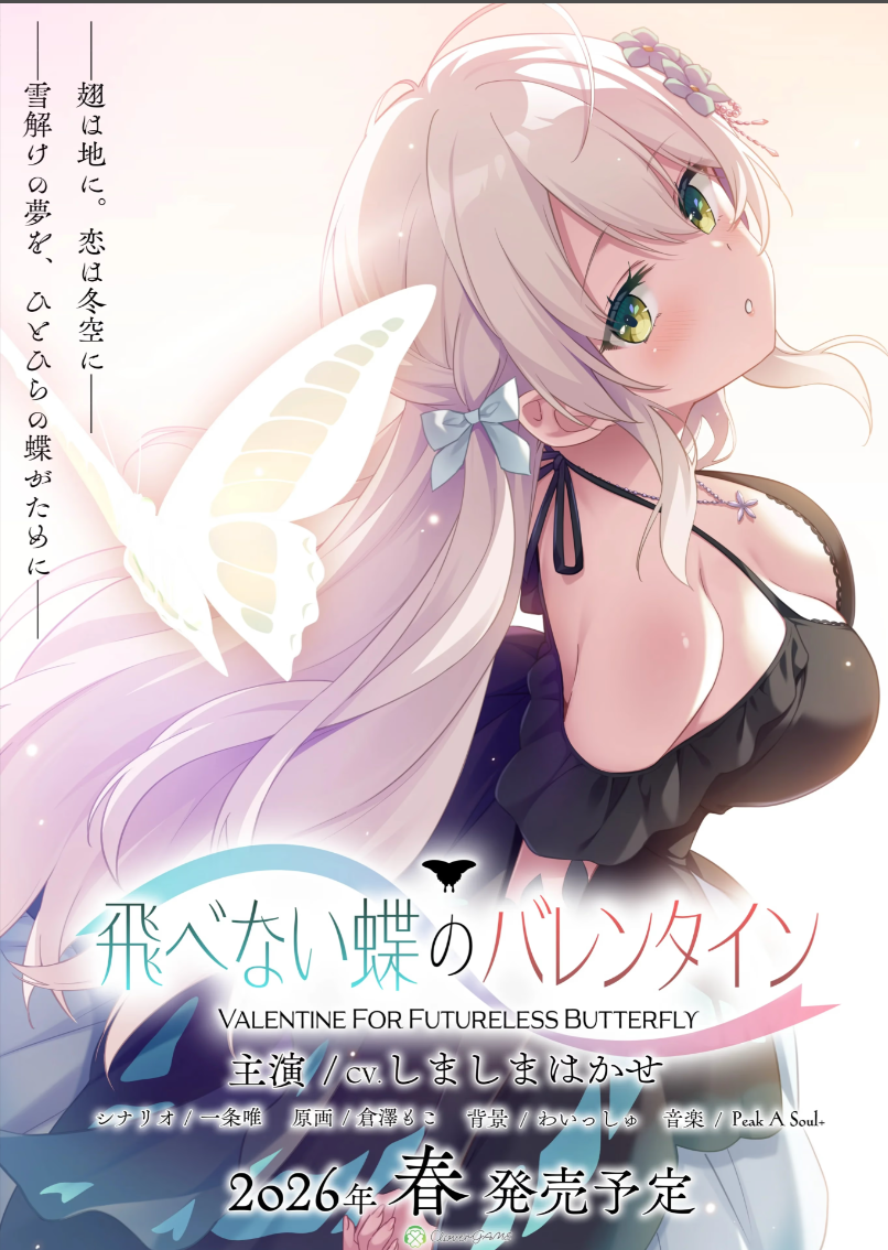 无法飞翔的蝴蝶的情人节 AI汉化版 【PC/2.4G/更新】-乐游二次元
