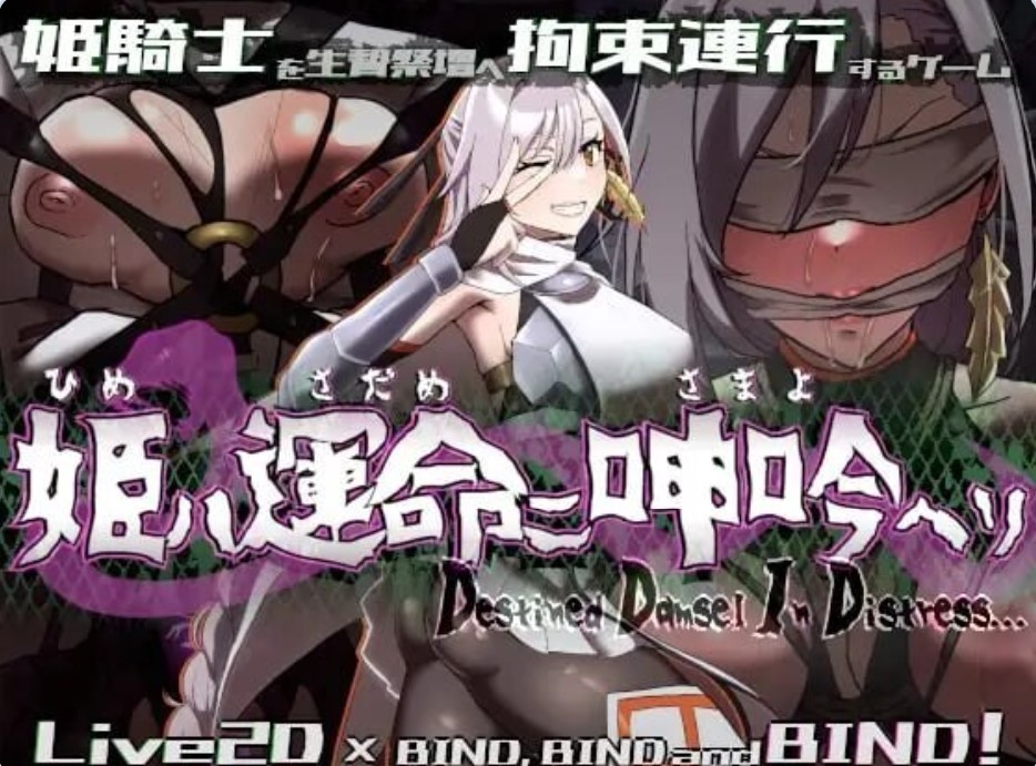 图片[5]-命运束缚的公主 V1.05 Steam官方中文【PC/470M/新作】-乐游二次元